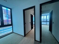 Palm Grove Avenue (D19), Terrace #496880381